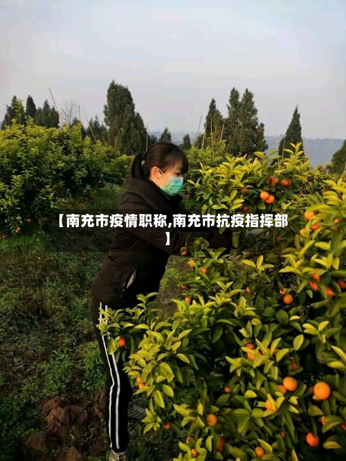 【南充市疫情职称,南充市抗疫指挥部】-第2张图片