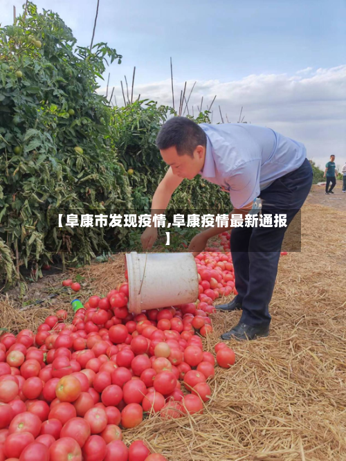 【阜康市发现疫情,阜康疫情最新通报】-第2张图片