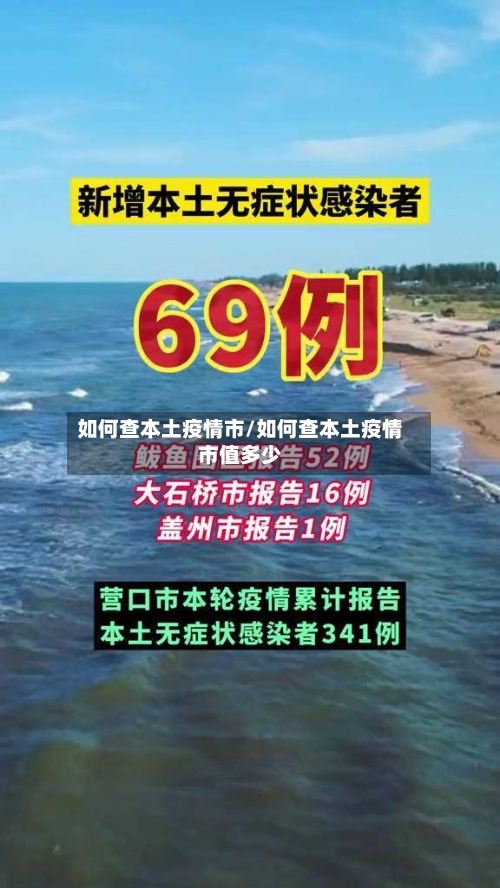 如何查本土疫情市/如何查本土疫情市值多少-第2张图片