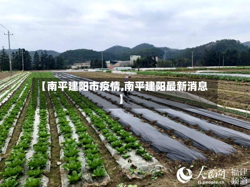 【南平建阳市疫情,南平建阳最新消息】-第3张图片