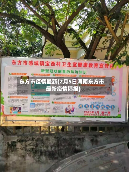 东方市疫情最新(2月5日海南东方市最新疫情播报)-第3张图片