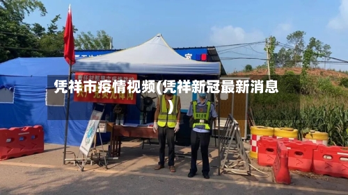 凭祥市疫情视频(凭祥新冠最新消息)