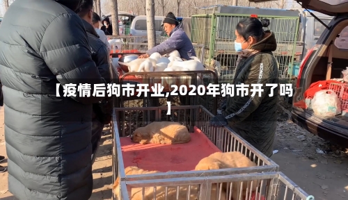 【疫情后狗市开业,2020年狗市开了吗】-第2张图片