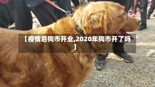 【疫情后狗市开业,2020年狗市开了吗】