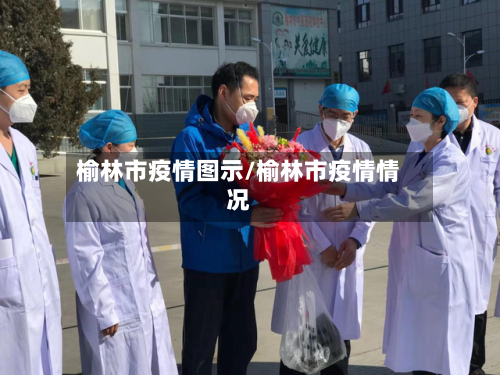 榆林市疫情图示/榆林市疫情情况