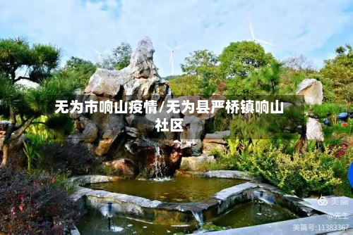 无为市响山疫情/无为县严桥镇响山社区