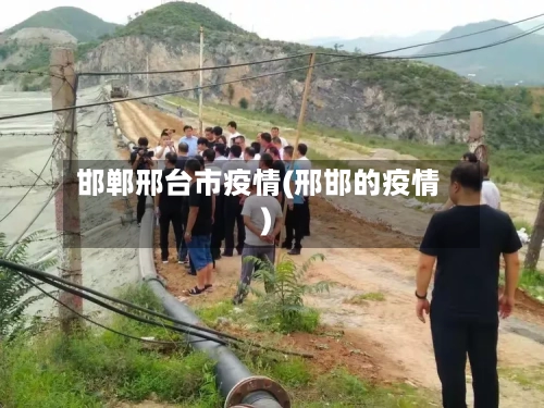 邯郸邢台市疫情(邢邯的疫情)-第3张图片