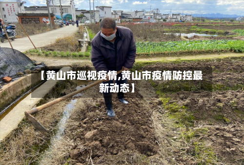 【黄山市巡视疫情,黄山市疫情防控最新动态】-第2张图片