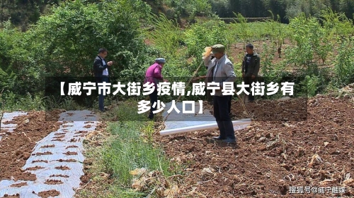 【威宁市大街乡疫情,威宁县大街乡有多少人口】-第2张图片