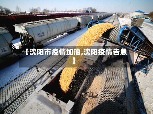 【沈阳市疫情加油,沈阳疫情告急】