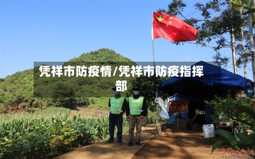 凭祥市防疫情/凭祥市防疫指挥部-第2张图片