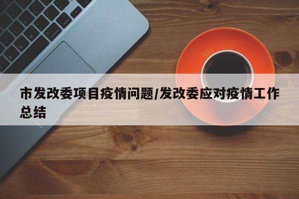市发改委项目疫情问题/发改委应对疫情工作总结