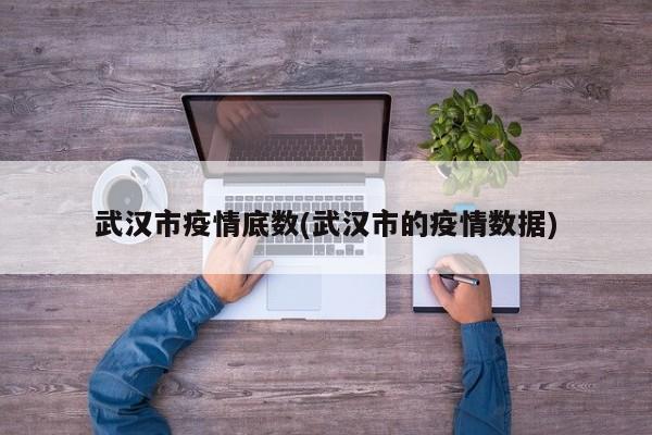 武汉市疫情底数(武汉市的疫情数据)